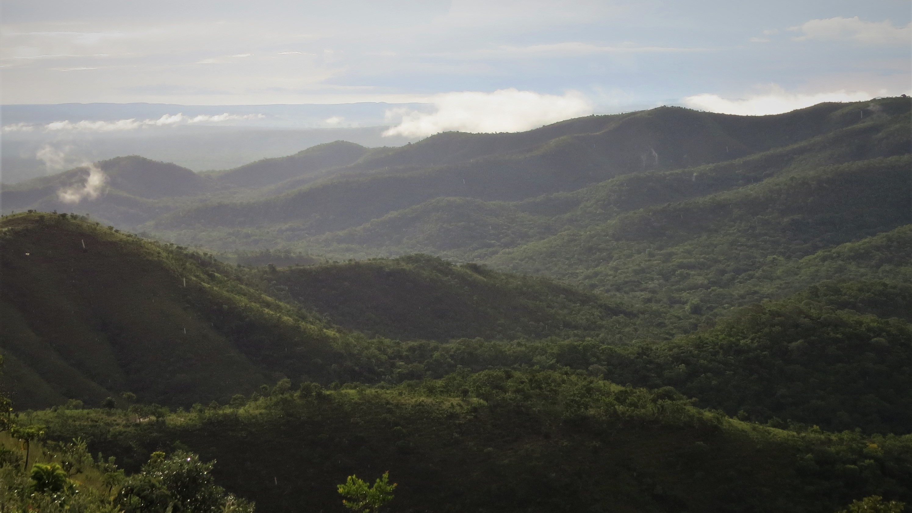 Reconhecimento internacional em pesquisas no Cerrado